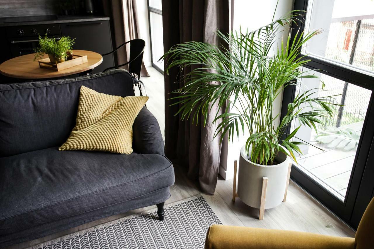 G - Owl Jazz -Modern Loft Type Apartment 18 With Big Roof Terrace And Free Private Parking Kaunas Exterior photo